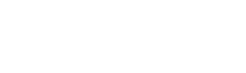 Logo innovatis bianco